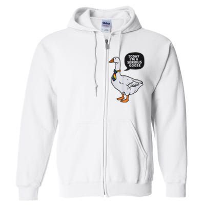 Today IM A Serious Goose Lgbt Cute Funny Serious Goose Full Zip Hoodie