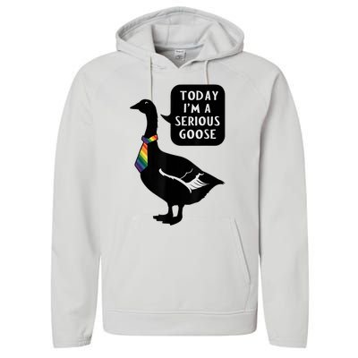 Today IM A Serious Goose Lgbt Cute Funny Serious Goose Performance Fleece Hoodie