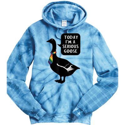 Today IM A Serious Goose Lgbt Cute Funny Serious Goose Tie Dye Hoodie