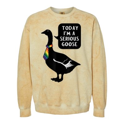 Today IM A Serious Goose Lgbt Cute Funny Serious Goose Colorblast Crewneck Sweatshirt