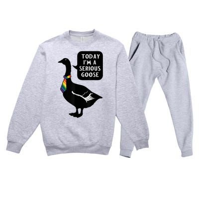 Today IM A Serious Goose Lgbt Cute Funny Serious Goose Premium Crewneck Sweatsuit Set