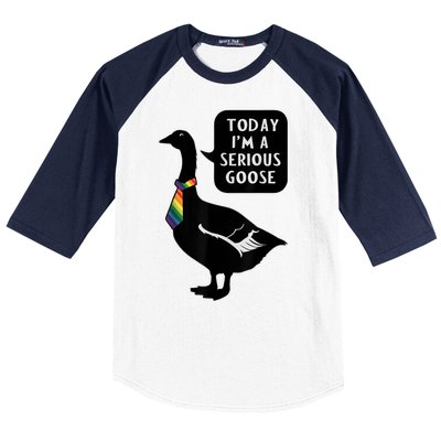 Today IM A Serious Goose Lgbt Cute Funny Serious Goose Baseball Sleeve Shirt