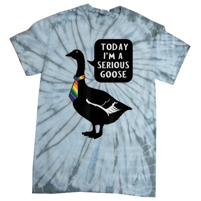 Today IM A Serious Goose Lgbt Cute Funny Serious Goose Tie-Dye T-Shirt