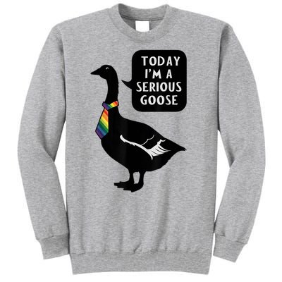 Today IM A Serious Goose Lgbt Cute Funny Serious Goose Tall Sweatshirt