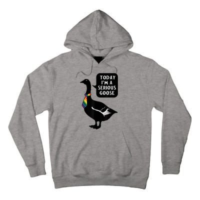 Today IM A Serious Goose Lgbt Cute Funny Serious Goose Tall Hoodie