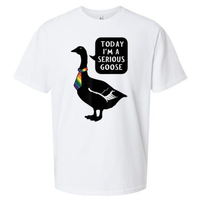 Today IM A Serious Goose Lgbt Cute Funny Serious Goose Sueded Cloud Jersey T-Shirt