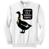 Today IM A Serious Goose Lgbt Cute Funny Serious Goose Sweatshirt