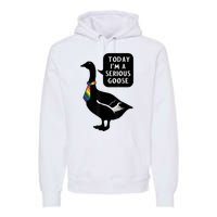 Today IM A Serious Goose Lgbt Cute Funny Serious Goose Premium Hoodie