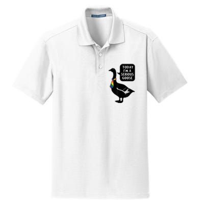 Today IM A Serious Goose Lgbt Cute Funny Serious Goose Dry Zone Grid Polo