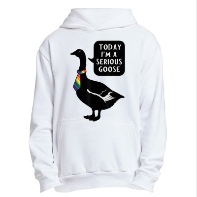 Today IM A Serious Goose Lgbt Cute Funny Serious Goose Urban Pullover Hoodie