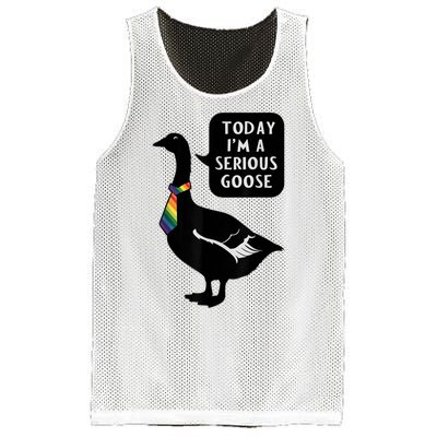 Today IM A Serious Goose Lgbt Cute Funny Serious Goose Mesh Reversible Basketball Jersey Tank