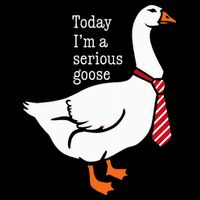 Today IM A Serious Goose Funny Cute Goose Button