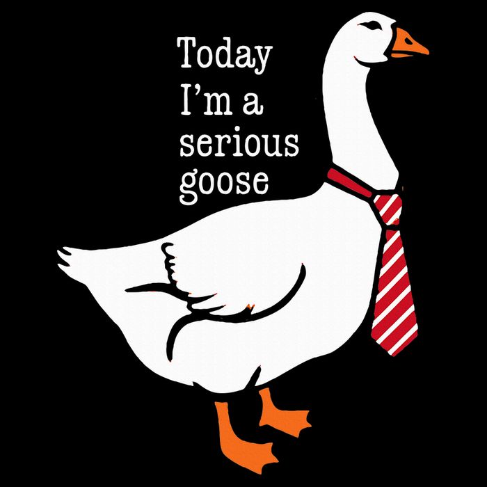 Today IM A Serious Goose Funny Cute Goose Button
