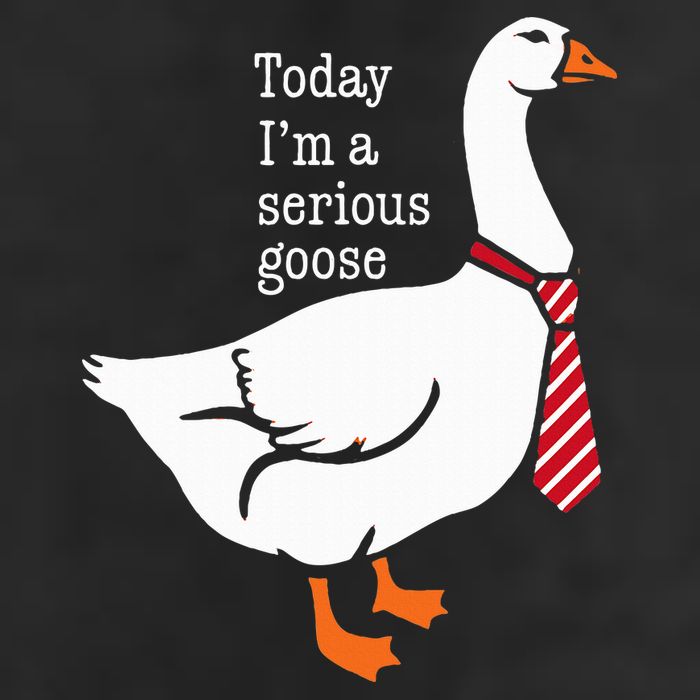 Today IM A Serious Goose Funny Cute Goose 11oz C Handle Ceramic Mug