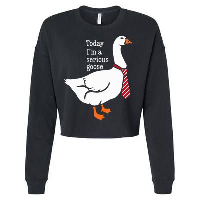 Today IM A Serious Goose Funny Cute Goose Cropped Pullover Crew