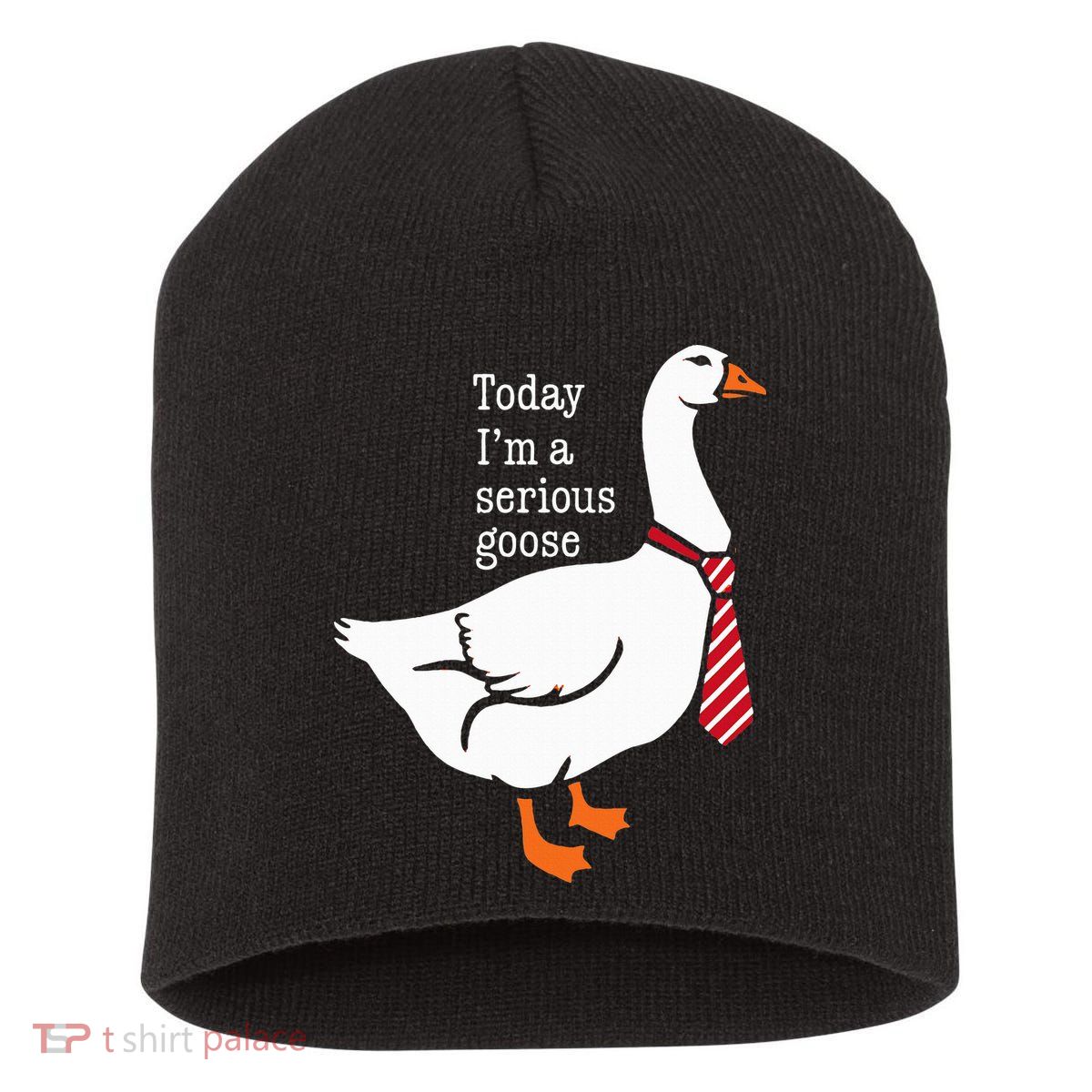 Today IM A Serious Goose Funny Cute Goose Short Acrylic Beanie