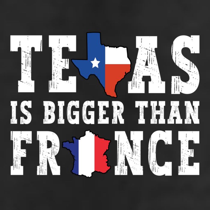 Texas Is Bigger Than France Funny Saying Cool Gift Adult Drive Performance Visor
