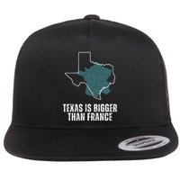 Texas Is Bigger Than France And Armed Funny Usa Flat Bill Trucker Hat