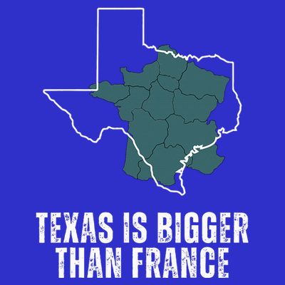 Texas Is Bigger Than France And Armed Funny Usa T-Shirt