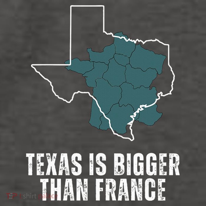 Texas Is Bigger Than France And Armed Funny Usa Vector Backpack