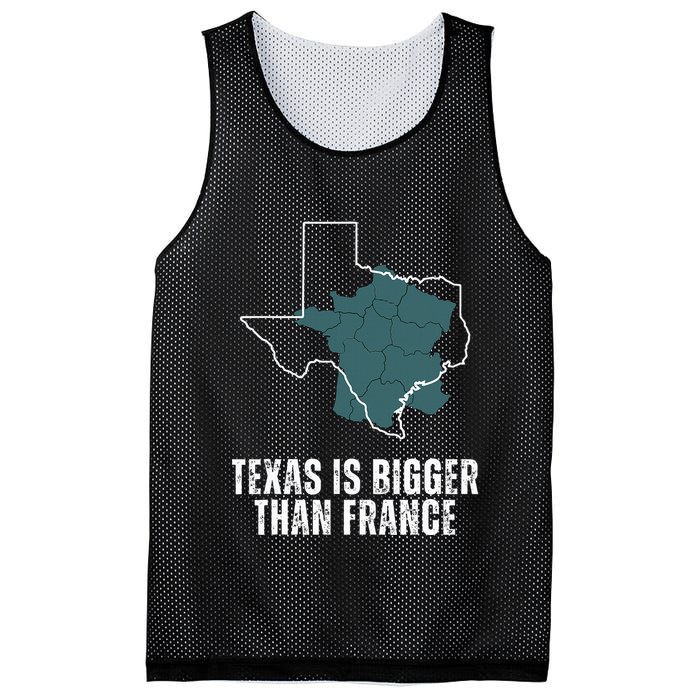 Texas Is Bigger Than France And Armed Funny Usa Mesh Reversible Basketball Jersey Tank