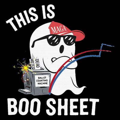 This Is Boo Sheet Election Day Ghost Of Trump Voter T-Shirt
