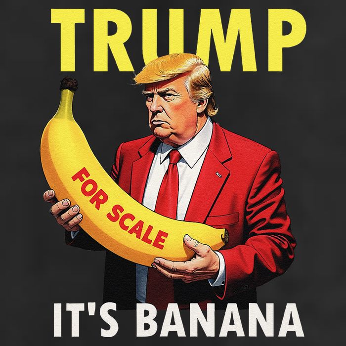 Trump ItS Banana Starship Funny 11oz C Handle Ceramic Mug