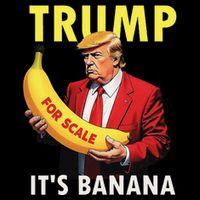 Trump ItS Banana Starship Funny 16 in Basic Backpack
