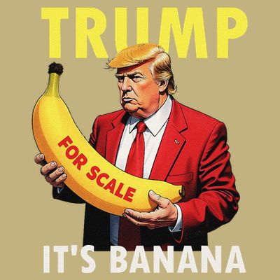Trump ItS Banana Starship Funny T-Shirt