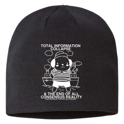 Total Information Collapse & The End Of All Consensus Reality Sustainable Beanie