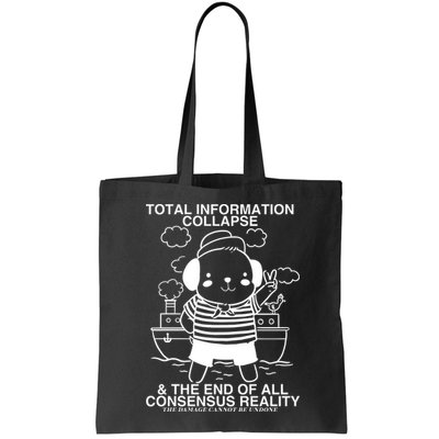 Total Information Collapse & The End Of All Consensus Reality Bag