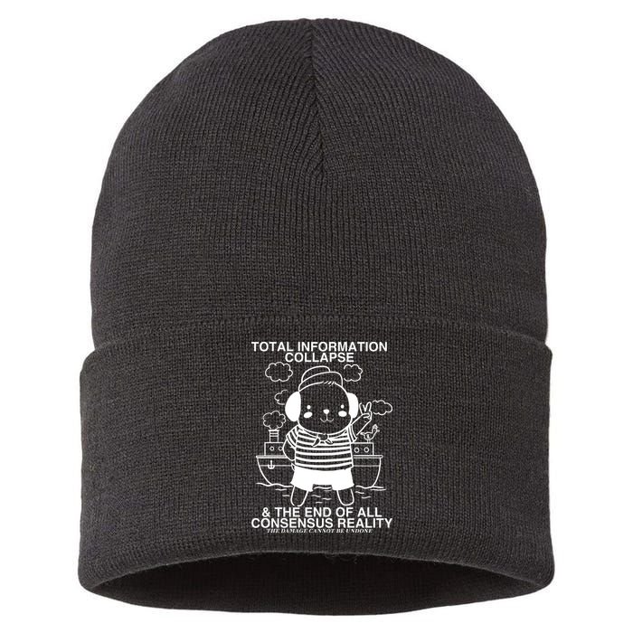 Total Information Collapse & The End Of All Consensus Reality Sustainable Knit Beanie