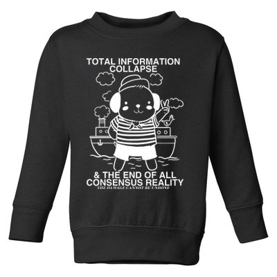 Total Information Collapse & The End Of All Consensus Reality Toddler Sweatshirt
