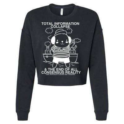 Total Information Collapse & The End Of All Consensus Reality Cropped Pullover Crew