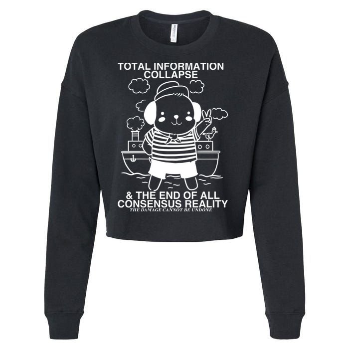 Total Information Collapse & The End Of All Consensus Reality Cropped Pullover Crew