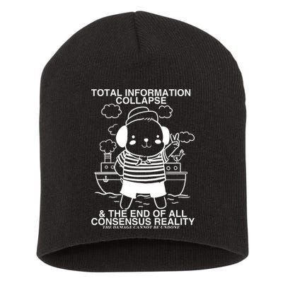 Total Information Collapse & The End Of All Consensus Reality Short Acrylic Beanie