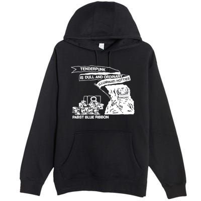 Tenderpunk Is Dull And Ordinary Illuminati Hotties Premium Pullover Hoodie