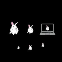 Things I Do In My Spare Time Bunny Rabbit 16oz Travel Tumbler