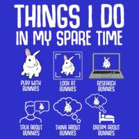 Things I Do In My Spare Time Bunny Rabbit Ladies Long Sleeve Shirt