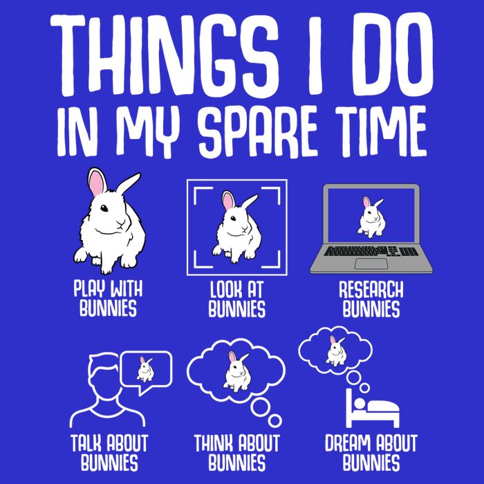 Things I Do In My Spare Time Bunny Rabbit Ladies Long Sleeve Shirt