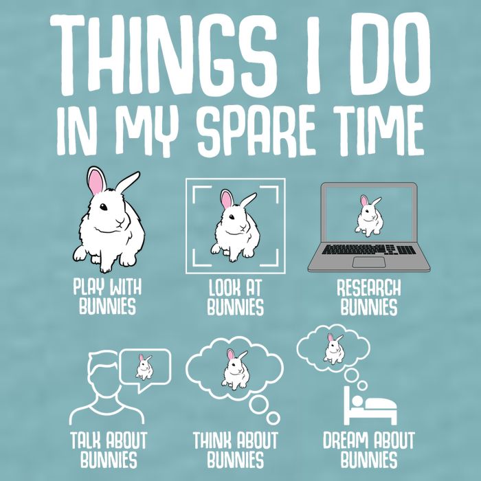 Things I Do In My Spare Time Bunny Rabbit Sueded Cloud Jersey T-Shirt