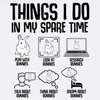 Things I Do In My Spare Time Bunny Rabbit Garment-Dyed Sweatshirt