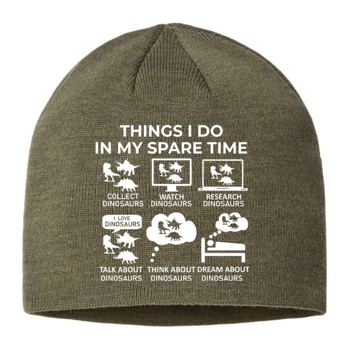 Things I Do In My Spare Time Dinosaurs Sustainable Beanie