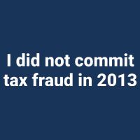 Tax I Did Not Commit Tax Fraud In Funny Joke For Dad 7-Panel Snapback Hat