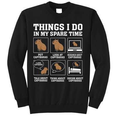 Things I Do In My Spare Time Capybara Funny Capybaras Rodent  Sweatshirt