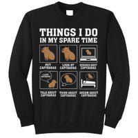 Things I Do In My Spare Time Capybara Funny Capybaras Rodent  Sweatshirt