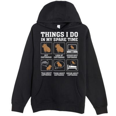 Things I Do In My Spare Time Capybara Funny Capybaras Rodent  Premium Pullover Hoodie