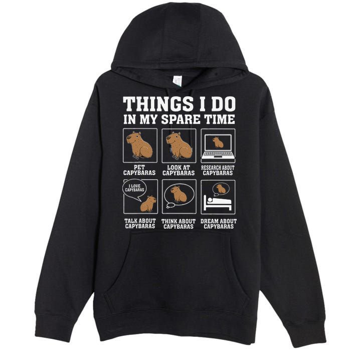 Things I Do In My Spare Time Capybara Funny Capybaras Rodent  Premium Pullover Hoodie