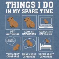 Things I Do In My Spare Time Capybara Funny Capybaras Rodent  Garment-Dyed Sweatshirt