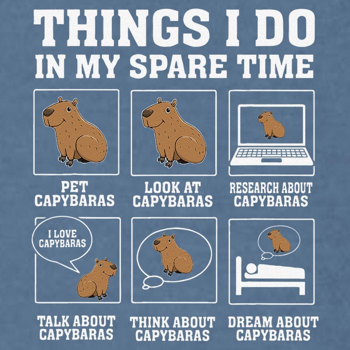 Things I Do In My Spare Time Capybara Funny Capybaras Rodent  Garment-Dyed Sweatshirt